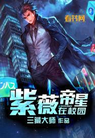 紫微帝星简介
