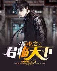 都市之君临天下国士无双沈卓