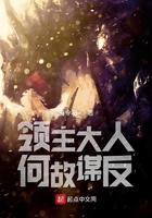 领主大人的