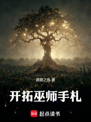 巫师手札崩溃