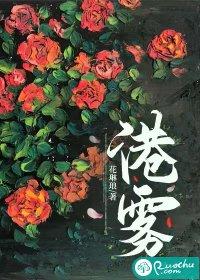 港雾有雪