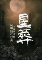 星葬卫星
