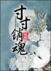 寸寸销魂何生祥全本免费